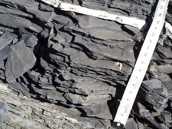 ҳ������