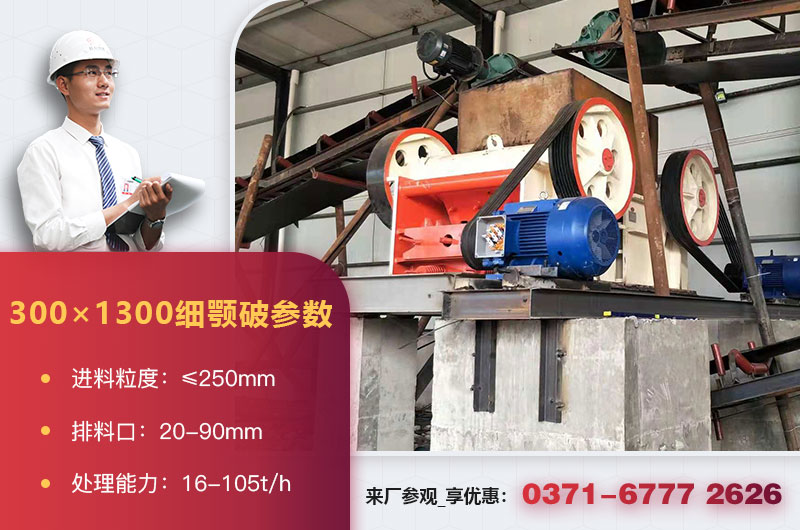 300��1300ϸ��ƻ�����